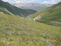 20110715_Koschkor-Song-Kul 031